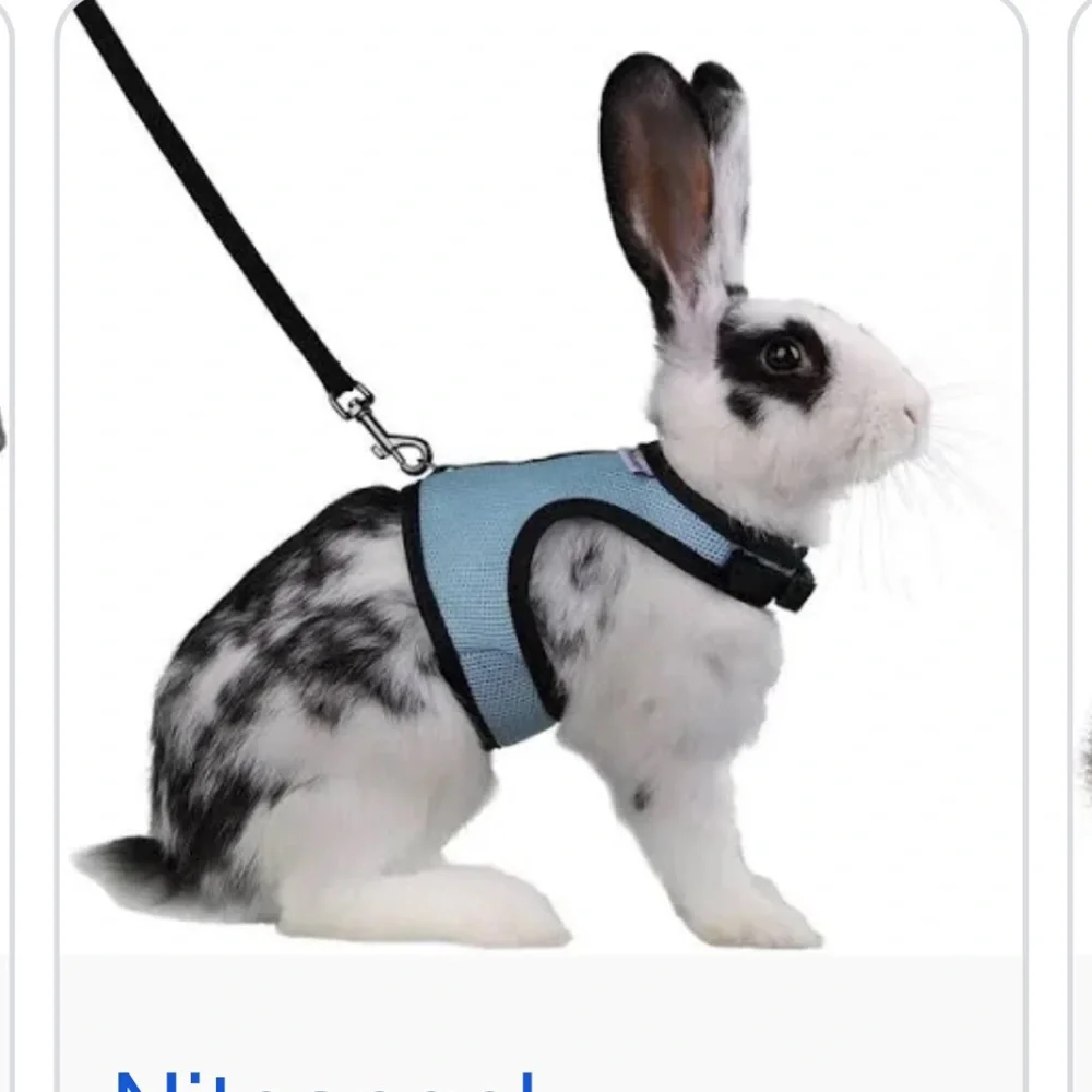 Blue Mesh Small Pet Rabbit/Small Animal Harness